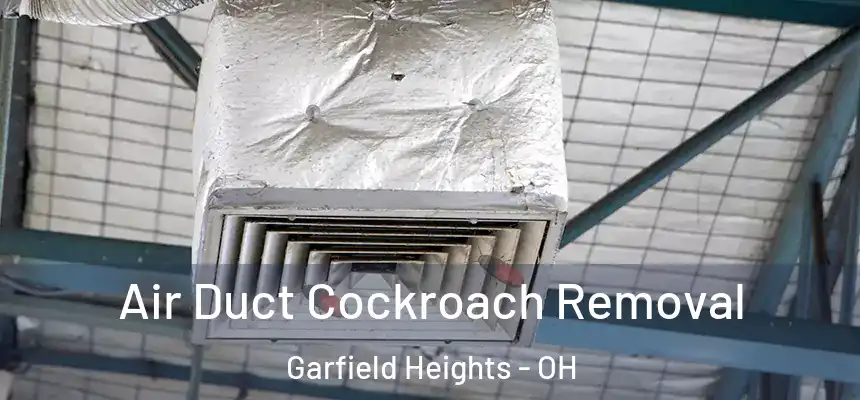  Air Duct Cockroach Removal Garfield Heights - OH
