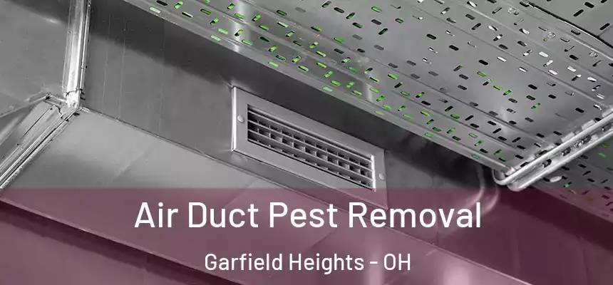 Air Duct Pest Removal Garfield Heights - OH