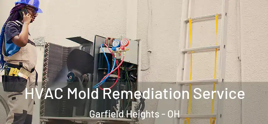  HVAC Mold Remediation Service Garfield Heights - OH