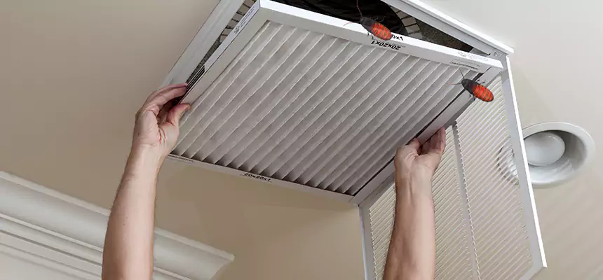 Our Insect Removal from Air Ducts Services in Garfield Heights, OH