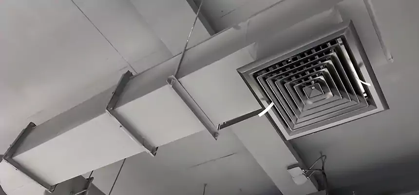 Our Pest Removal From Ducts Services in Garfield Heights, OH