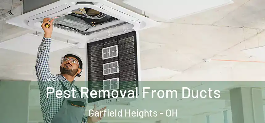 Pest Removal From Ducts Garfield Heights - OH