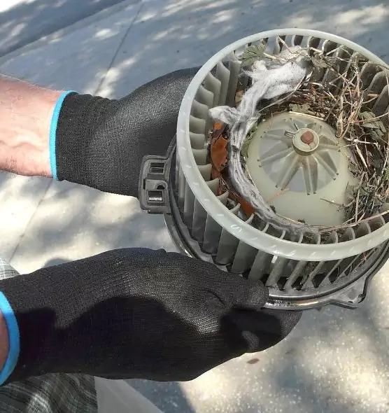 About Air Duct Mice Removal in Garfield Heights, OH