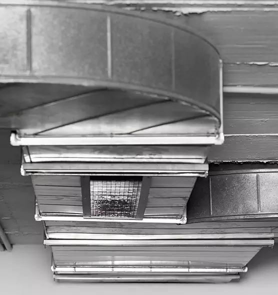 Professional Air Duct Pest Removal in Garfield Heights, OH