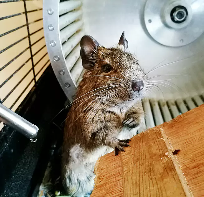 Why Homeowners & Businesses Trust Us Garfield Heights, OH